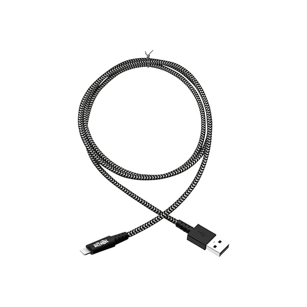 Tripp Lite Braided Lightning Cable  Lightning to USB Cable (M/Apple Certified Lightning Cable, Charge/Sync, 10 ft, Aramid Fiber, Grey, 2-Year Warranty (M100-010-HD)