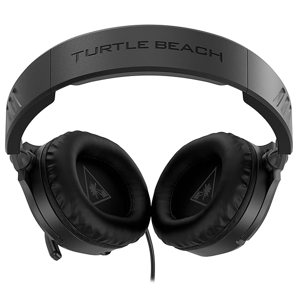 Turtle Beach - Image 8