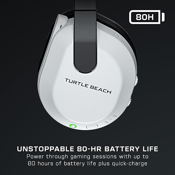 Turtle Beach - Image 3
