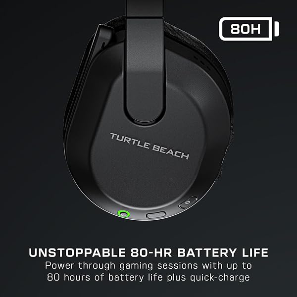 Turtle Beach - Image 3
