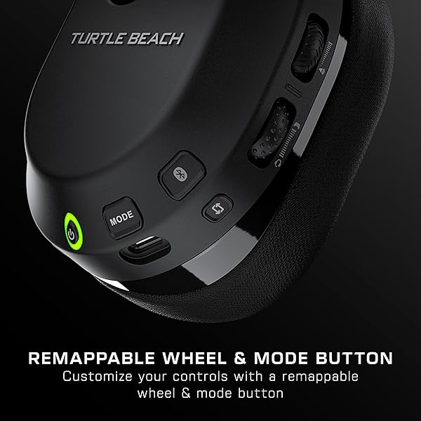 Turtle Beach - Image 6