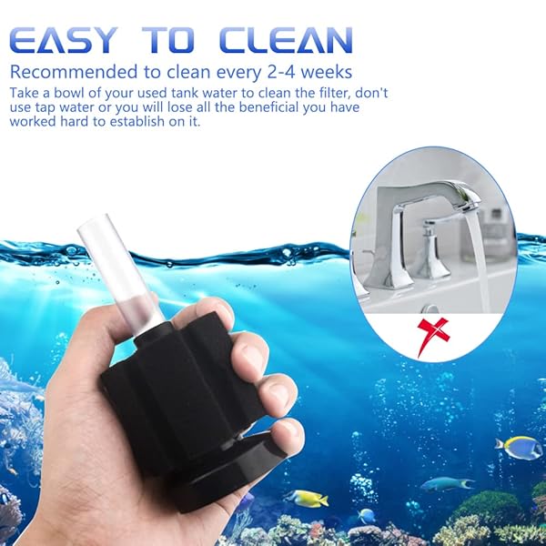 WMYCONGCONG 6 PCS Fish Tank Aquarium Soft Biochemical Sponge Filter Available in 2 Sizes for Optimal Water Quality - Image 4