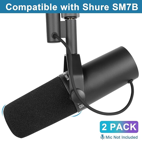 ChromLives - Image 2