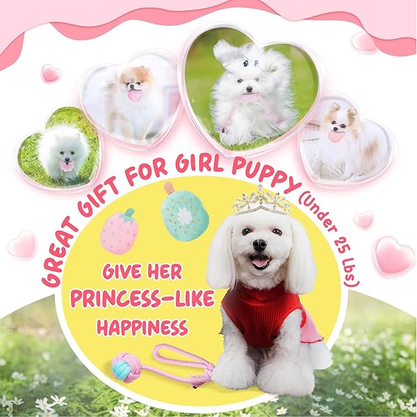 XIUGOAL 23 Pack Pink Puppy Toys for Teething Interactive Chew Toys Squeaky Balls and Ropes for Boredom Relief in Small Dogs - Image 4