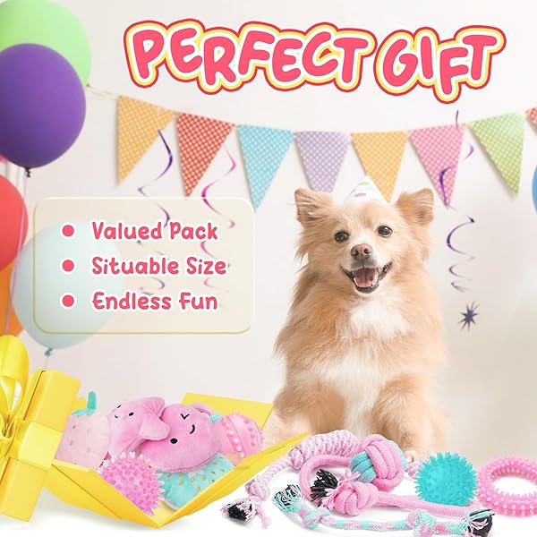 XIUGOAL 23 Pack Pink Puppy Toys for Teething Interactive Chew Toys Squeaky Balls and Ropes for Boredom Relief in Small Dogs - Image 9