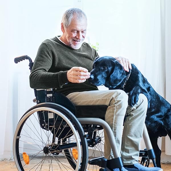 AUVON Wheelchair Seat Cushion 18x16x3 for Sciatica Back Pain Relief Memory Foam Pressure Relief Cushion with Removable Strap Waterproof Fabric - Image 10