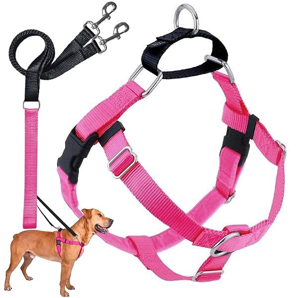 2 Hounds Design Freedom No Pull Dog Harness Adjustable Leash Set for Small Medium Large Dogs Comfortable Control Made in USA Hot Pink