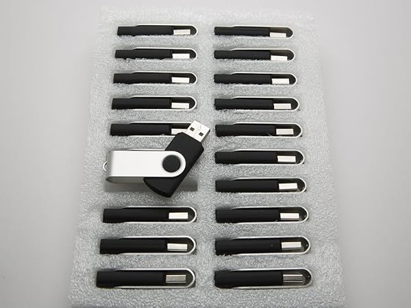 20-Pack 2GB USB 2.0 Flash Drives - Swivel Design, Black - Bulk Storage Solution