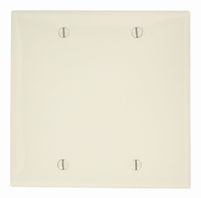 Leviton 80725-T LA WP 2G Blank Standard Size Box Mount - Durable Nylon Solution