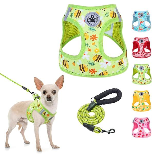 BEAUTYZOO Small Dog Harness and Leash Set Soft Mesh No Pull Reflective Plaid Vest for Extra Small Small Medium Dogs and Cats Red S