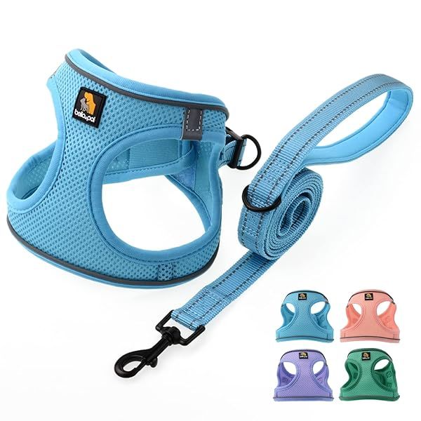 BELLA PAL Puppy Harness and Leash Set No Pull Step in Harness for Small Dogs Blue Extra Small Dog Harness