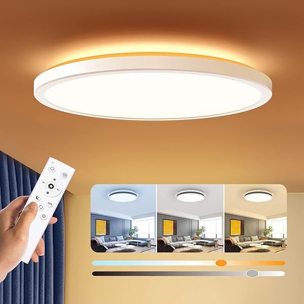 BLNAN Dimmable LED Flush Mount Ceiling Light Fixture with Remote Control 12 Inch 24W Adjustable Color Modern Ultra Thin Lamp for Bedroom Kitchen