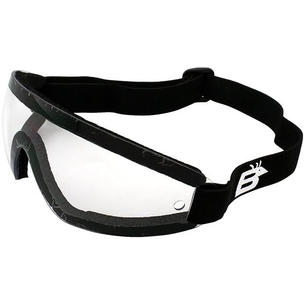 Birdz Eyewear Wing Series Goggles: Clear Lens for Ultimate Clarity & Comfort