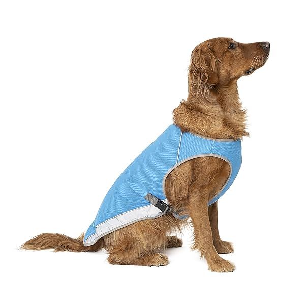Canada Pooch Dog Cooling Vest Evaporative Cooling Vest for Dogs with Breathable Mesh and Reflective Lining Adjustable Size Aqua 28 Inches