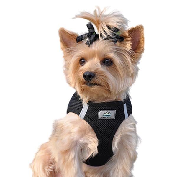 Choke Free Reflective Step In Ultra Harness Black American River XXS by Doggie Design for Comfortable Pet Walking