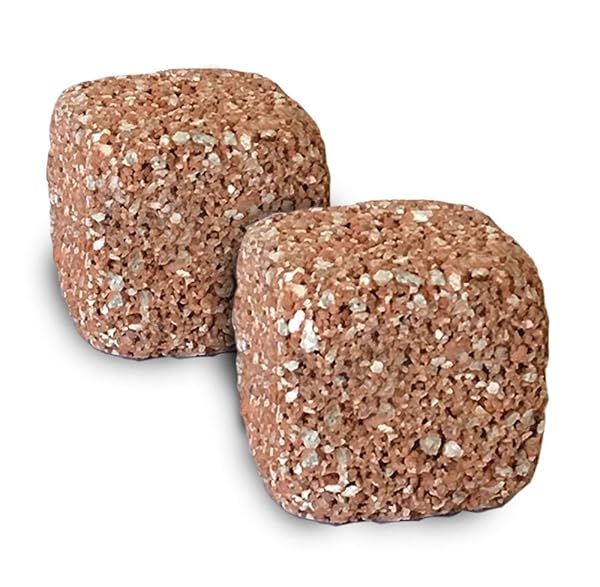 EcoBio Block Stone Natural Volcanic Water Clarifier and Odor Remover Rock for Aquariums 2-Pack