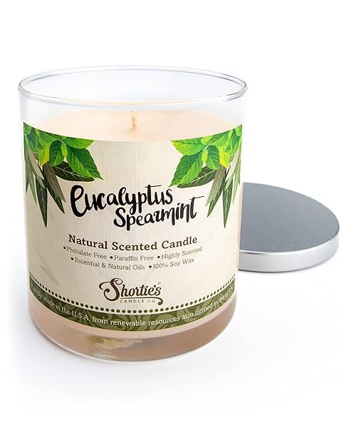 Eucalyptus Spearmint Scented Natural Soy Candle 100 Soy Clean Burning Essential Oils 9 Oz