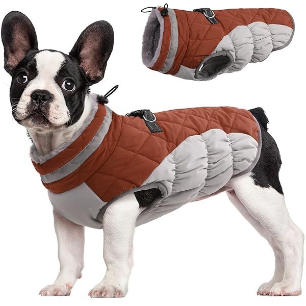 FUAMEY Warm Dog Coat Winter Jacket Padded Fleece Vest Reflective Waterproof Windproof Snow Jacket with Harness for X-Small Dogs