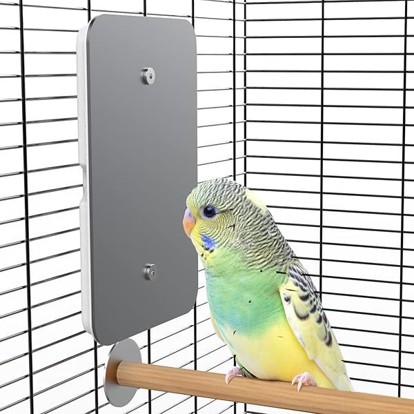 Fenocran Indoor Bird Heater Pad USB Warmer for Parakeets 4.5 X 7 Ideal for Keeping Your Birds Warm and Comfortable