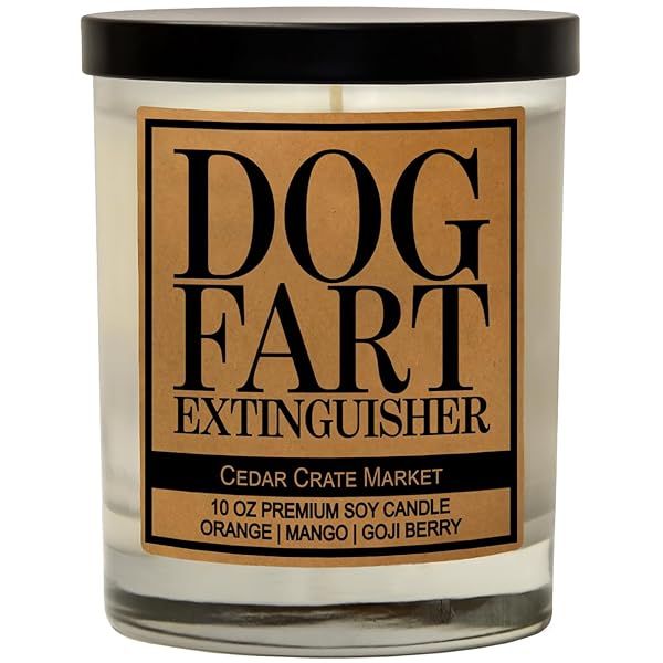 Funny Dog Candles for Dog Lovers Handmade 100 Soy Jar Candle Gifts for Mom Dad Pet Moms Fur Mamas Rescue Adoption