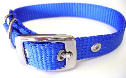 Buy Hamilton 5/8-Inch Blue Nylon Deluxe Dog Collar - Durable & Stylish for Your Pet