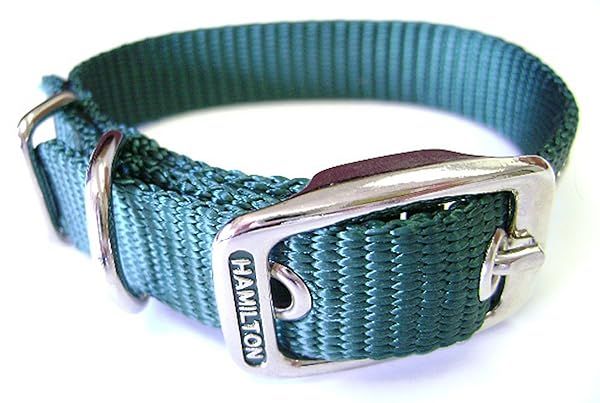 Buy Hamilton 5/8-Inch Nylon Deluxe Dog Collar in Dark Green - Durable & Stylish for Your Pet