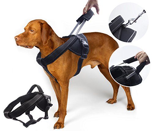 Heavy Duty No Pull Dog Harness for Large Dogs with Handle and Reflective Stitching XXL