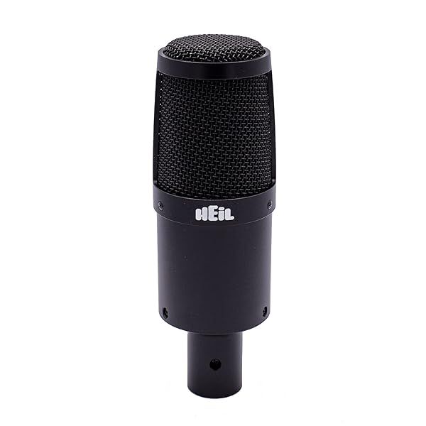 Heil PR 30 Dynamic XLR Microphone: Perfect for Video Podcasts, Live Sound & Recording - Superior Sound & Noise Rejection