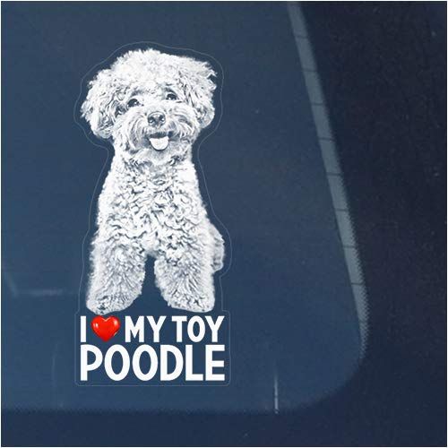 I Love My Toy Poodle Clear Vinyl Decal Sticker for Window Miniature Teacup Dog Sign Art Print Design