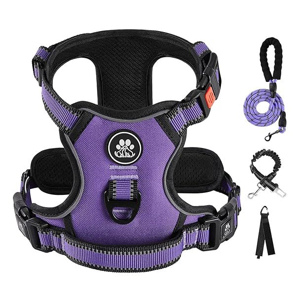 IVY&LANE No Pull Dog Harness for Large Dogs Adjustable Vest with Leash and Safety Belt Reflective Strip Soft Handle Purple L