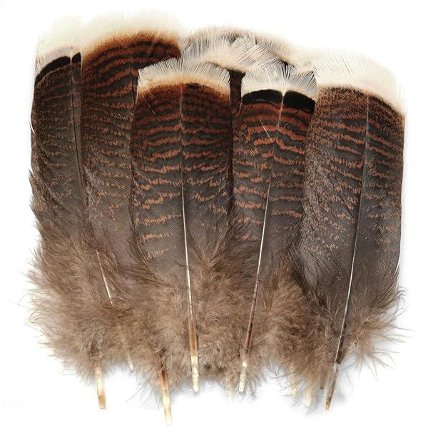 LUORNG Natural Turkey Tail Feathers 20PCS 15-20cm for DIY Costumes and Headdresses