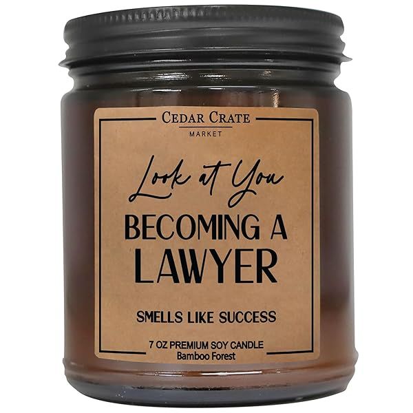 Lawyer Graduation Gifts for Women Men | Law Office Decor | College, Law School Graduation Gifts | Passing The Bar Exam | Look at You Becoming A