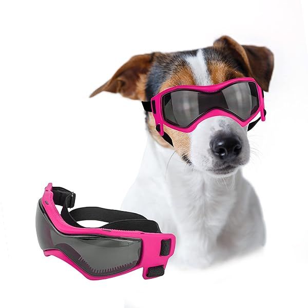 Lesypet Dog Goggles for Small Breeds UV and Wind Protection Outdoor Sunglasses for Dogs