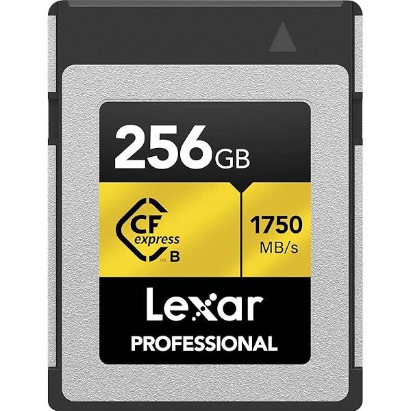 Lexar Professional CFexpress 256GB Type-B Card Review: Fast Storage for Photographers