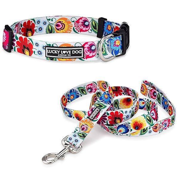 Lucky Love Dog Easy Click Buckle Collar and Leash Set Durable Comfortable for All Dogs Secure Fit Ladybird Combo Medium
