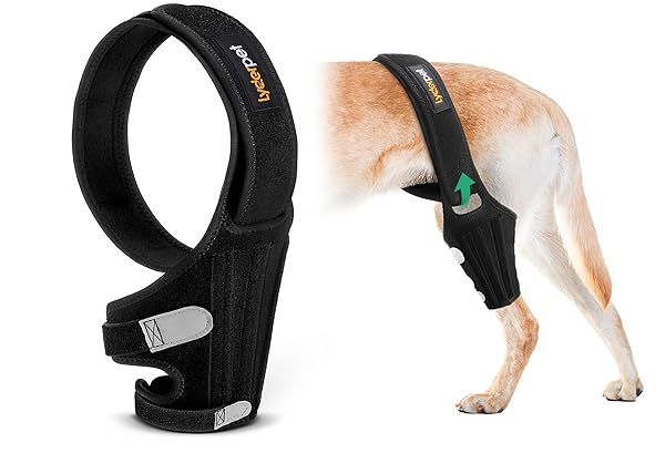 Lyderpet Dog Knee Brace for Torn ACL Rear Leg Support Reduces Joint Pain with Stabilizers for Large Dogs