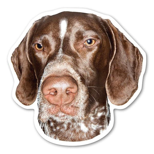 German Shorthaired Pointer Magnet Perfect for Dog Lovers and Home Decor