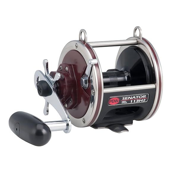Buy PENN Special Senator Star Drag Reel - 20lb Max, Durable Aluminum Spool for Nearshore/Offshore Fishing