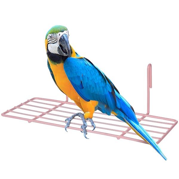 POPETPOP Bird Toys Perch Cage Platform Comfy Perch for Parrots Portable Training Playground Wire Playstand and Sundeck Bird Play Pen