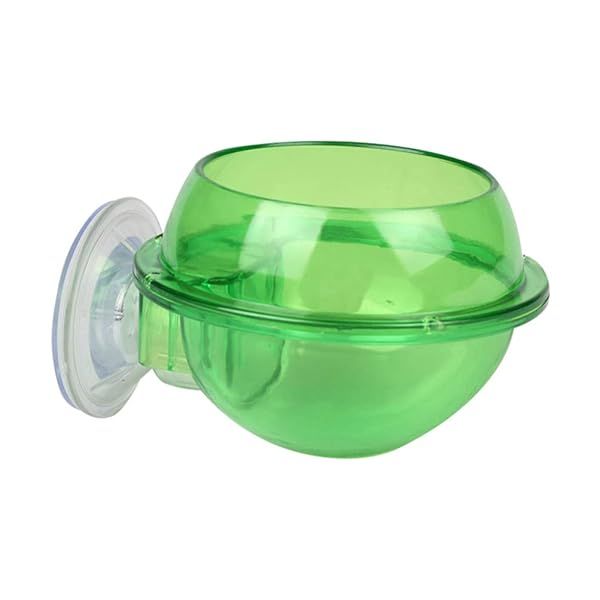 POPETPOP Pet Feeding Bowl for Reptiles: Ideal for Lizards, Turtles, Chameleons & Bearded Dragons