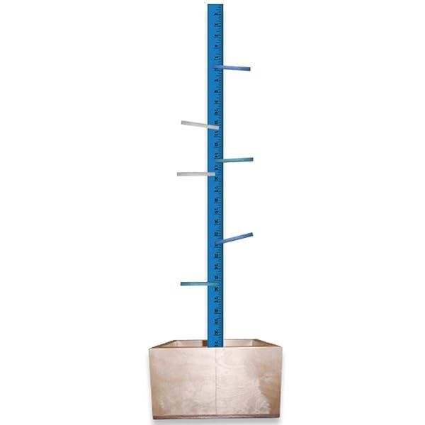 Rehabilitation Advantage: Extend Your Reach Upper Extremity Exerciser for Effective Recovery