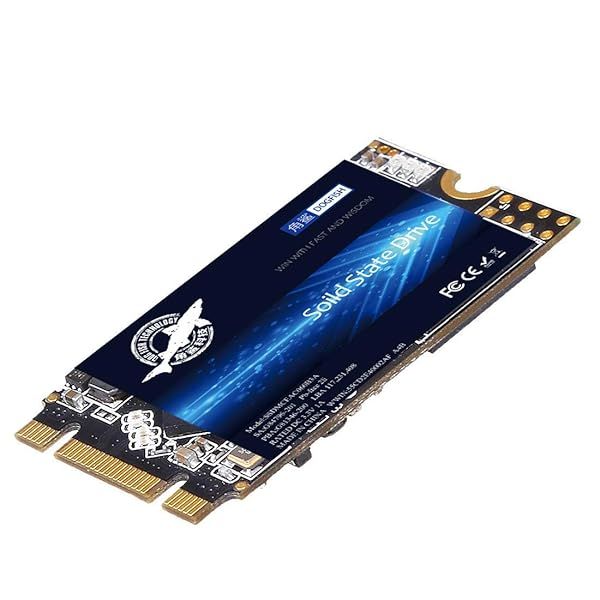 High-Performance 2TB M.2 2242 SSD - Dogfish NGFF Internal Solid State Drive for Desktop & Laptop