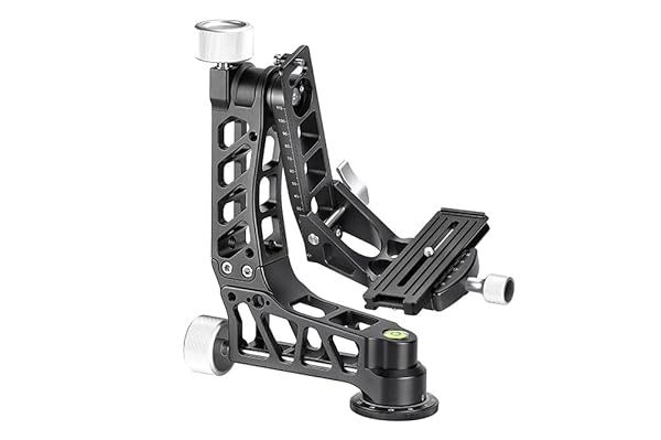 Buy SUNWAYFOTO GH-04 Lightweight Gimbal Head - Durable 120mm Arca Compatible Clamp for Smooth Photography