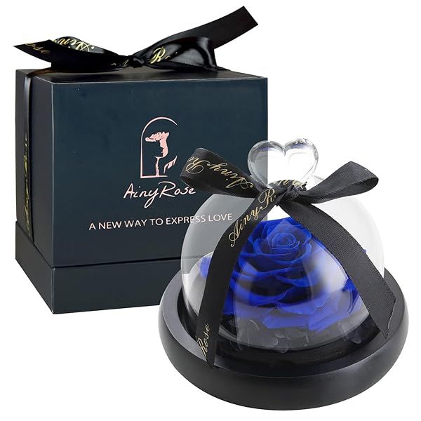 SW Rose Flower Birthday Gifts for Women | Preserved Real Rose in Glass Dome for Valentine's, Mother's Day & Anniversaries