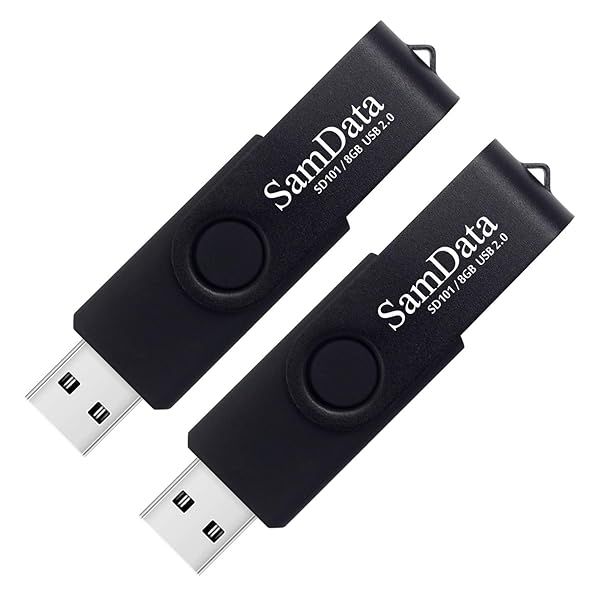 SamData 8GB USB Flash Drives 2 Pack Thumb Drives with LED Light for Storage and Backup Black