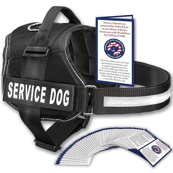 Service Dog Vest Harness with Handle and Reflective Patch Available in 8 Sizes Comfortable Mesh Design for Small Dogs Black