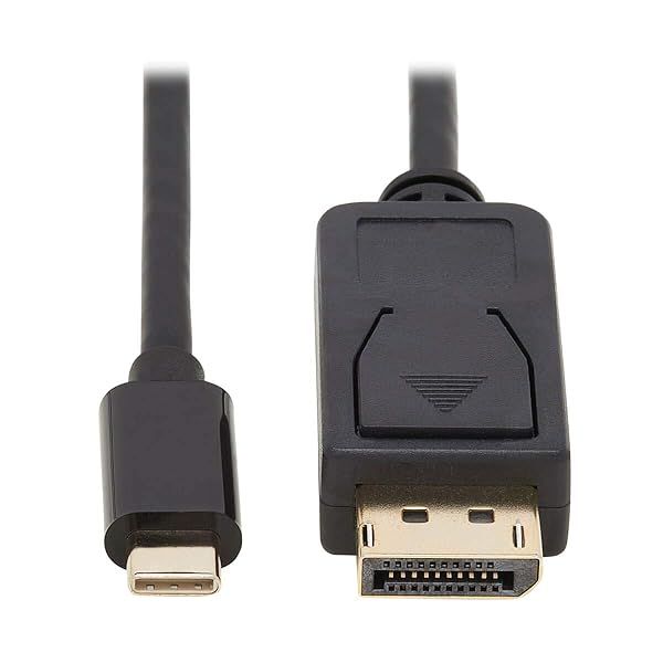 Tripp Lite USB C to DisplayPort Adapter Cable 10ft Bi-Directional 4K M/M for High-Quality Video Connection
