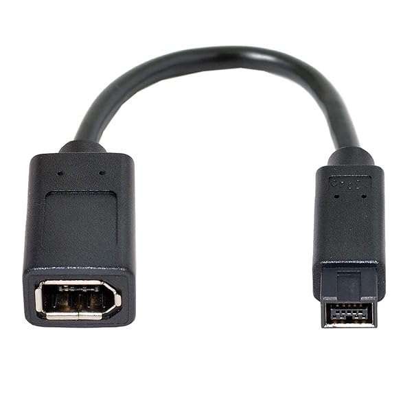 Buy Cablecc IEEE 1394 6Pin Female to 1394b 9Pin Male Firewire Cable 20cm - Fast Data Transfer & High Compatibility