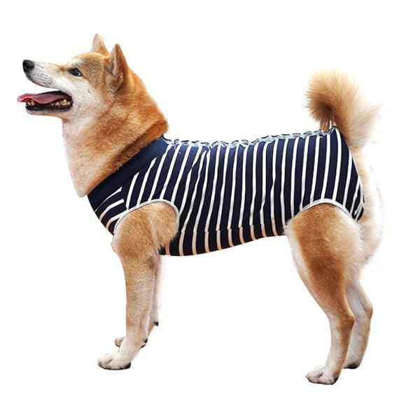 Dog Recovery Suit for Post-Surgery: Abdominal Wound Vest & E-Collar Alternative (Large, Blue Stripe)