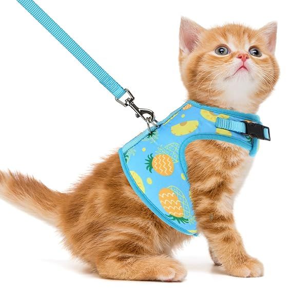 PUPTECK Soft Mesh Cat Vest Harness and Leash Set Escape Proof for Small Dogs Cats and Rabbits Padded Comfort Fit